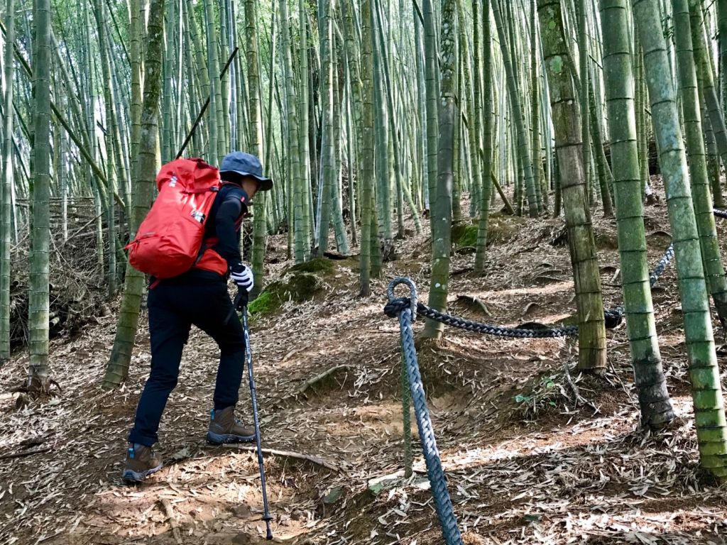 水社大山向前行_294738