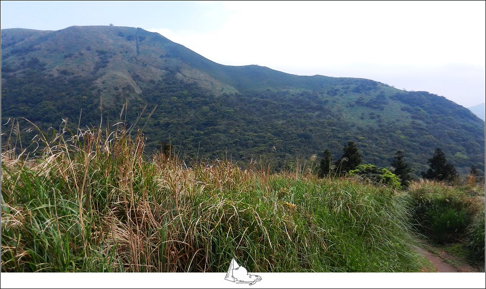 大屯山群峰步道(大屯山主峰、南峰、西峰)_882607