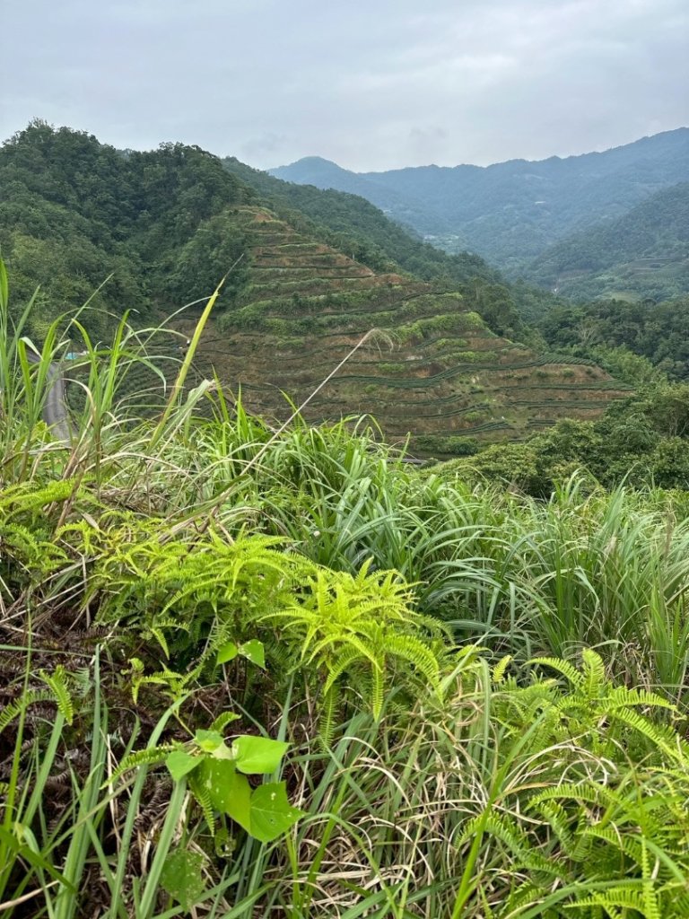 烏窟子山、獵貍尖山、黃櫸皮寮山、翡翠之眼O走_2809947