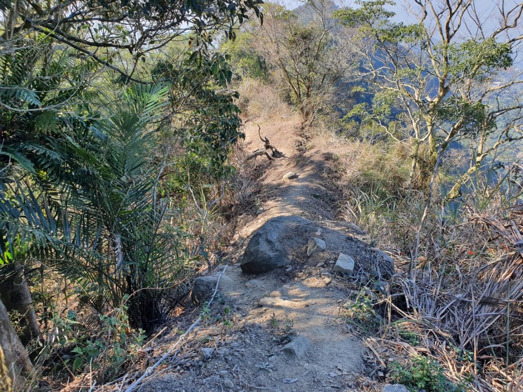 刣牛湖山登山步道（小百岳）_1261432