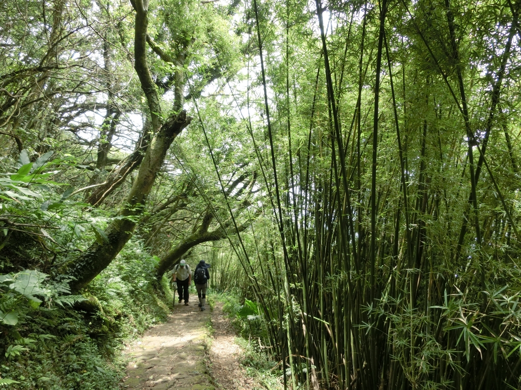 面天山．向天山．向天池_94287