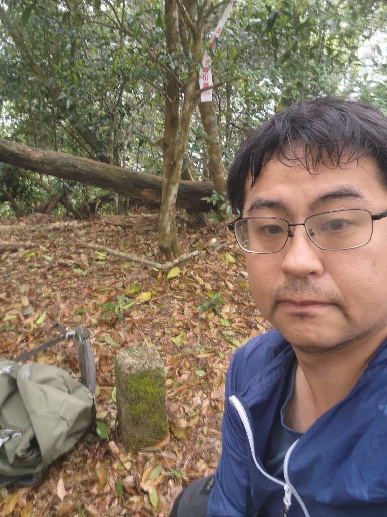 20250329東坑山八角崠山打鹿坑山_2798891