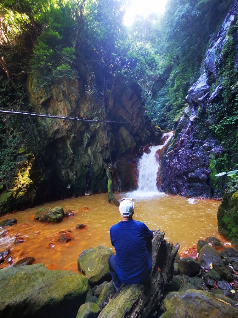 北市隱藏版黃金瀑布_1786300