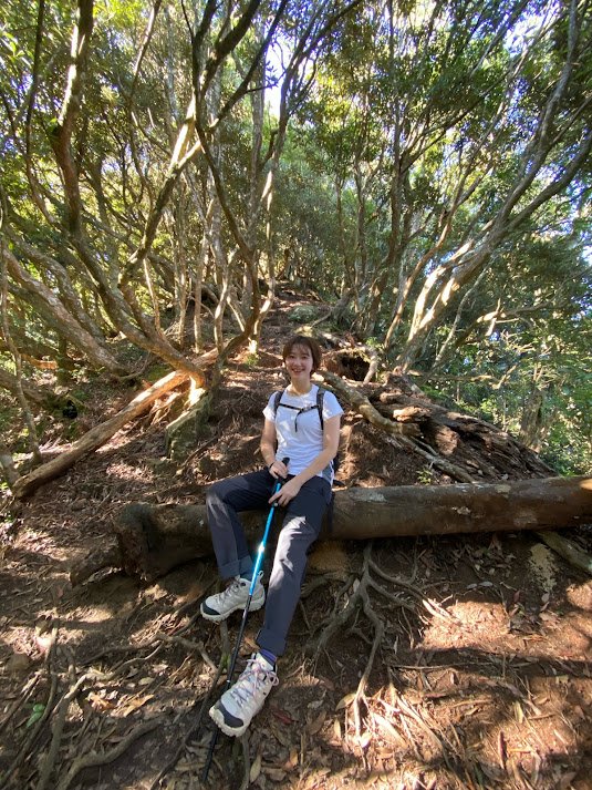 苗栗_大坪出發~杜鵑嶺/加里山_1485858