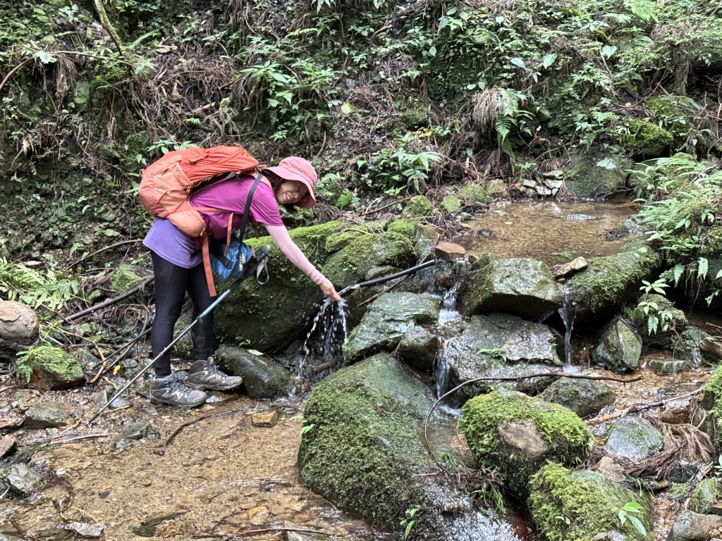 加里山O繞20250713(大坪登山口-杜鵑嶺-加里山-避難小屋-大坪登山口)_2836921