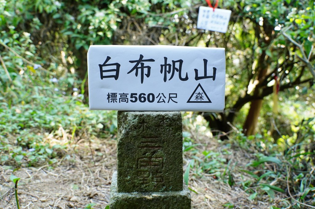 苗栗 卓蘭 白布帆山封面圖