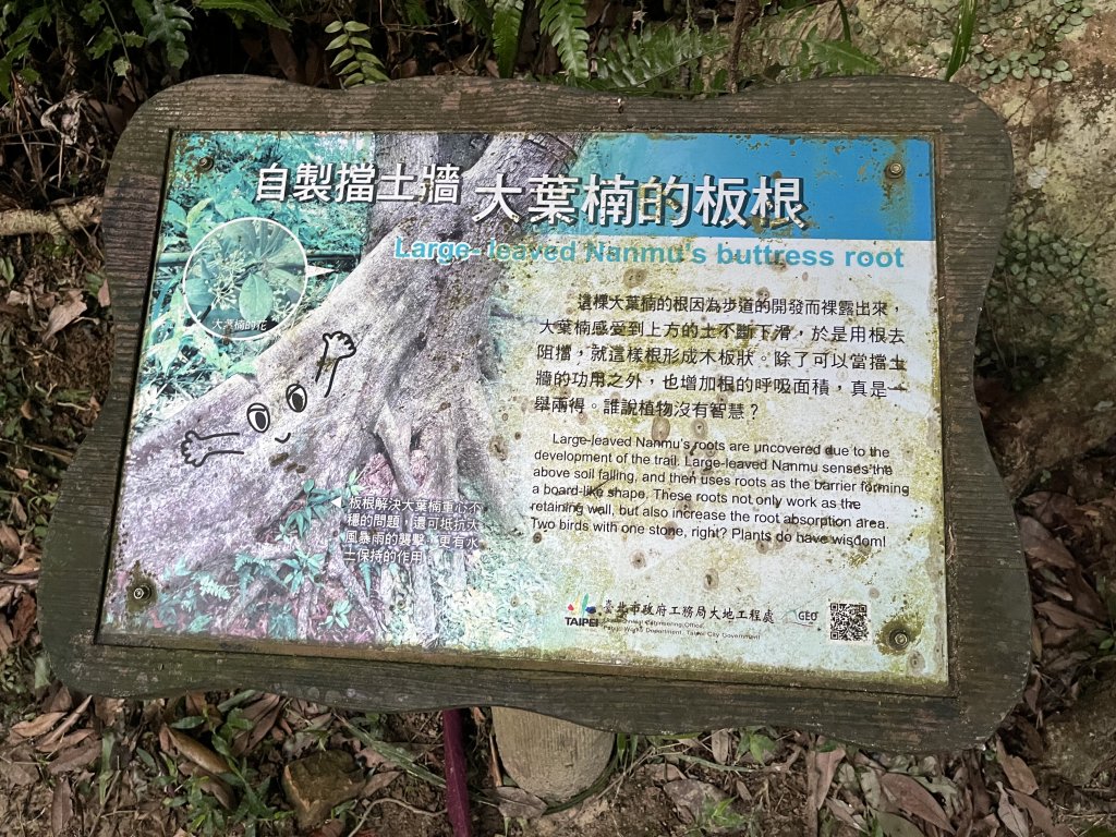 [山頂鳥40周年會員大縱走-09/15] 2024_0718 象山親山步道_2556910