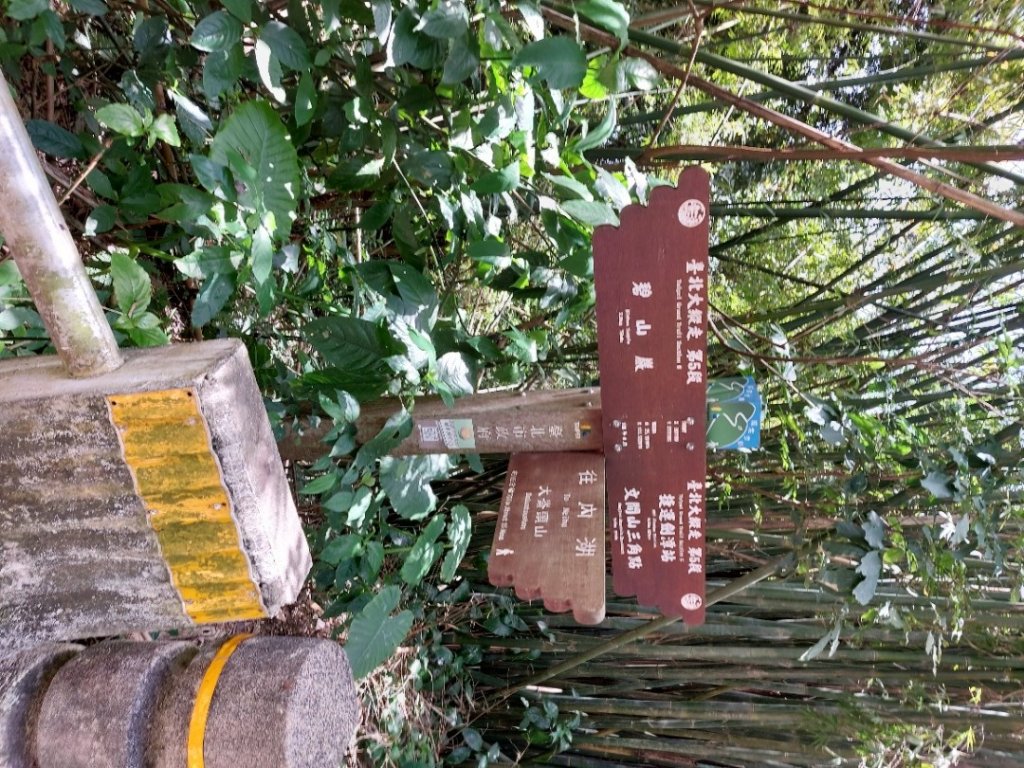 20230416＞臺北大縱走-5_2115428