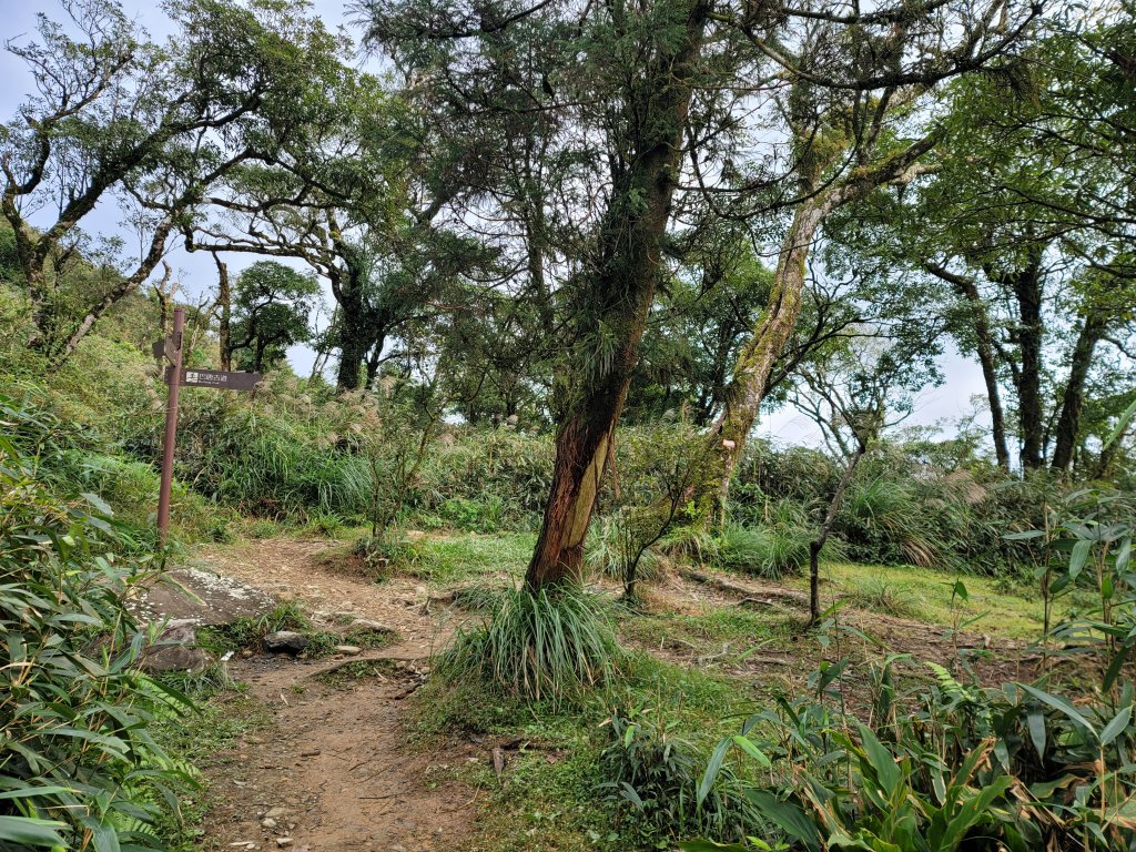 朝聖之路小百岳--三角崙山_2356904