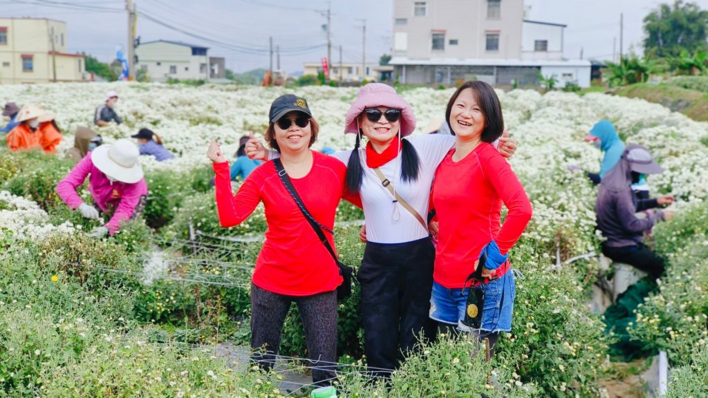 雙峰主西北員屯山縱走+銅鑼杭菊_1937687