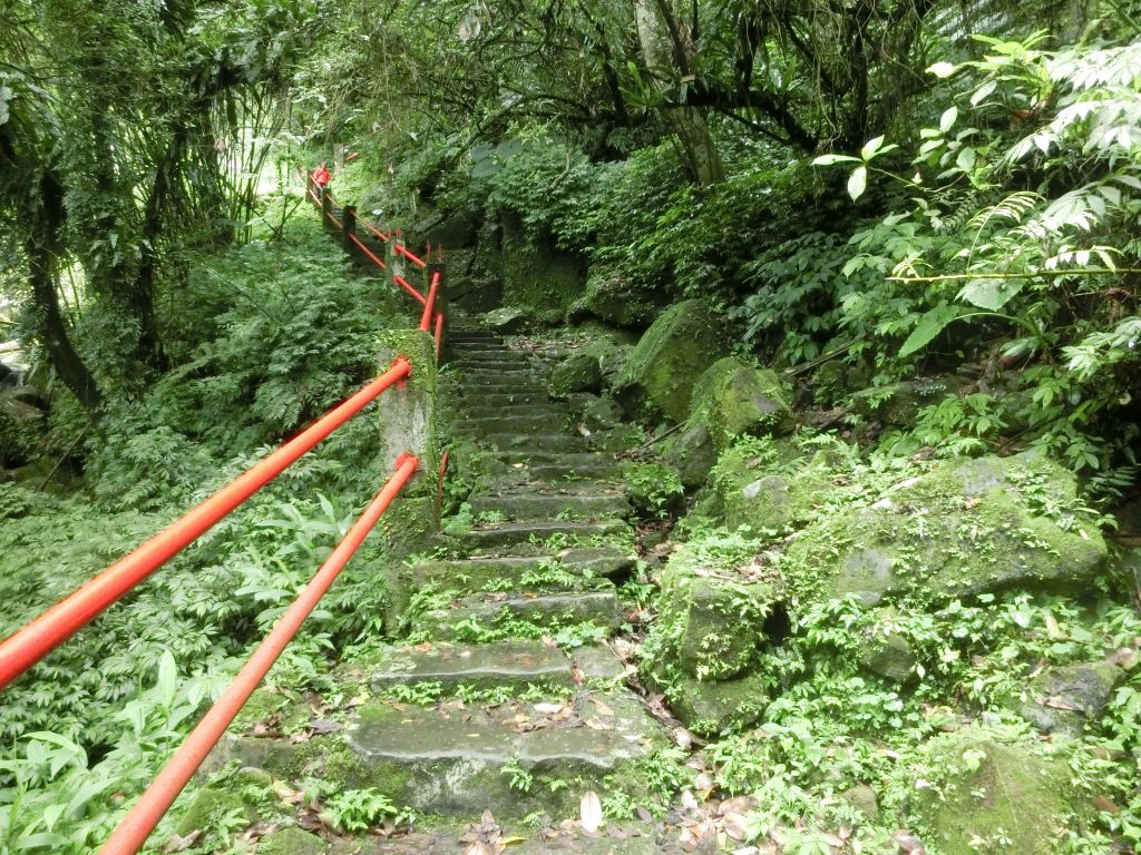 銀河洞瀑布．待老坑山．樟湖步道_127944