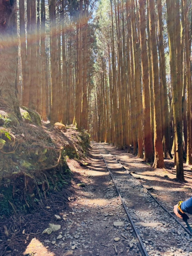 特富野古道>東水西峰>東水山>玉兒山>特富野古道（逆O)_2743768