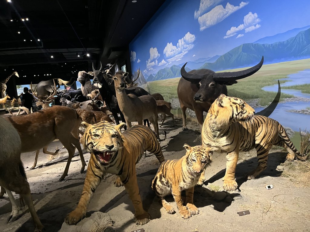 [全臺走路趣尋寶-42/100] 2024_0915_臺南都會公園(奇美博物館)_2597099