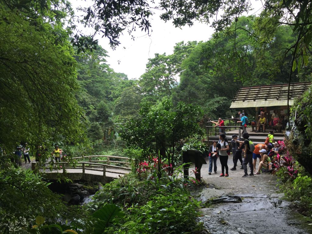 礁溪聖母山莊登山步道_354513