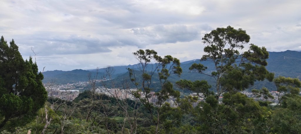 鳶山（福德坑山）_2970858