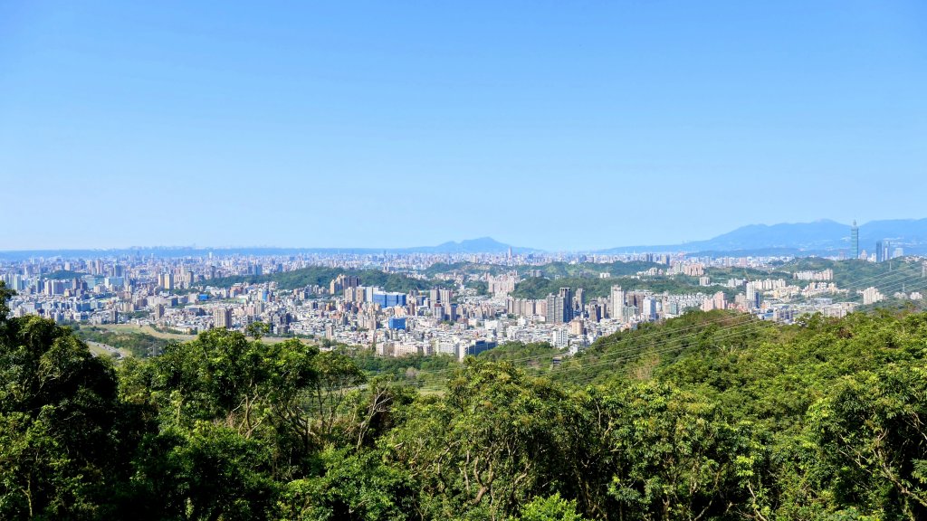 《踏莎行・貓空魯冰花》_2710654