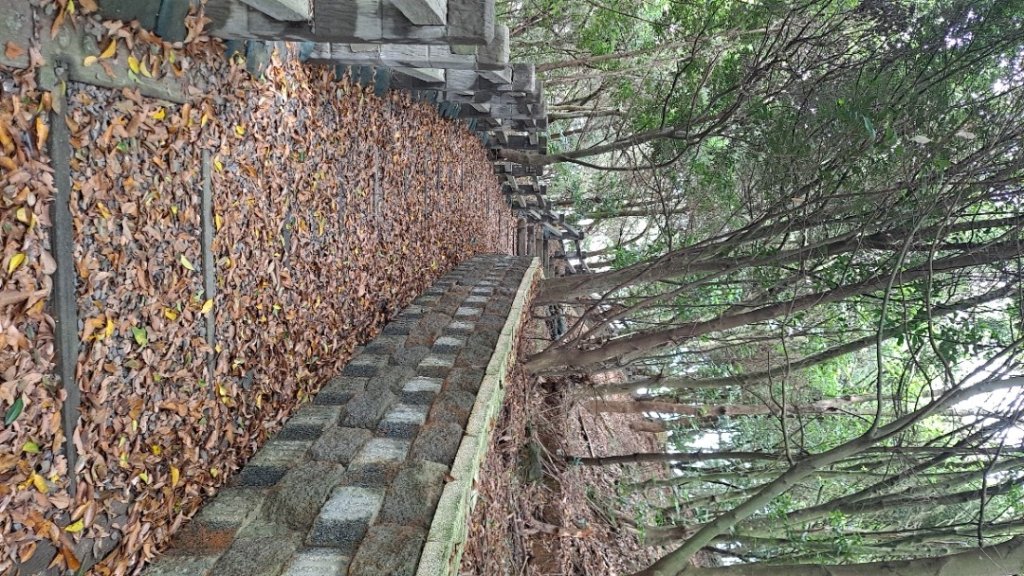 20240523嘉義梅山梨子腳山-太平老街-太平雲梯吊橋_2511294