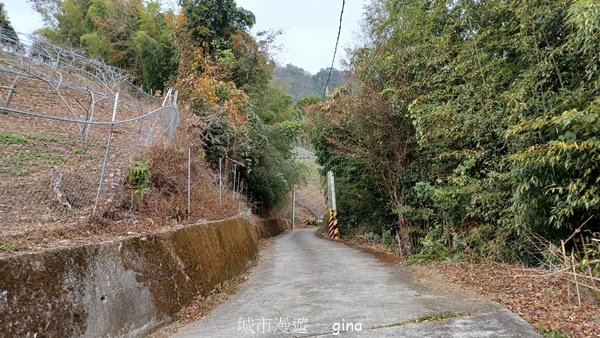 【苗栗泰安】水雲三星最終回。 橫龍山x橫龍山北峰x騰龍山(有極佳的展望)_2061824