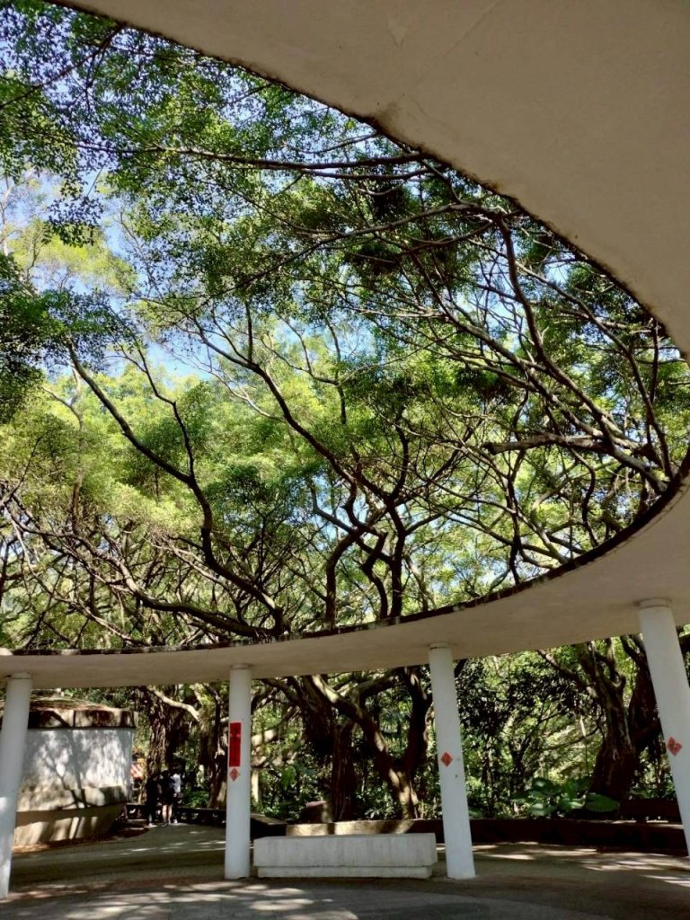 🌈11/8（六）桃園神社+虎頭山風景區尋找10連峰✨FB：熊熊趴爬走🌈_2932441