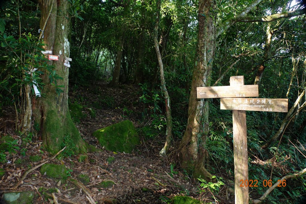 新北 坪林 源茂山(樟枯坑山)_1745988