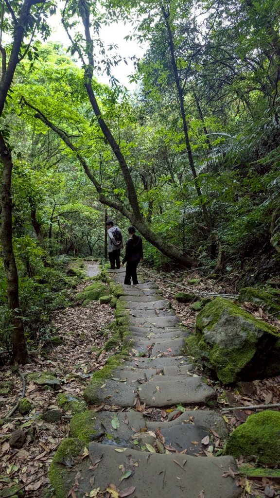孝子山步道 (慈母峰+普陀山)_2773636