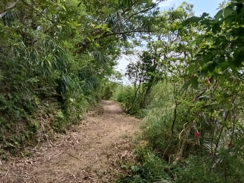 平溪區淡蘭山徑-平湖西步道+內平林山+東步道O型_2769966