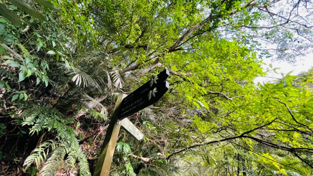 石笋古道_1484459