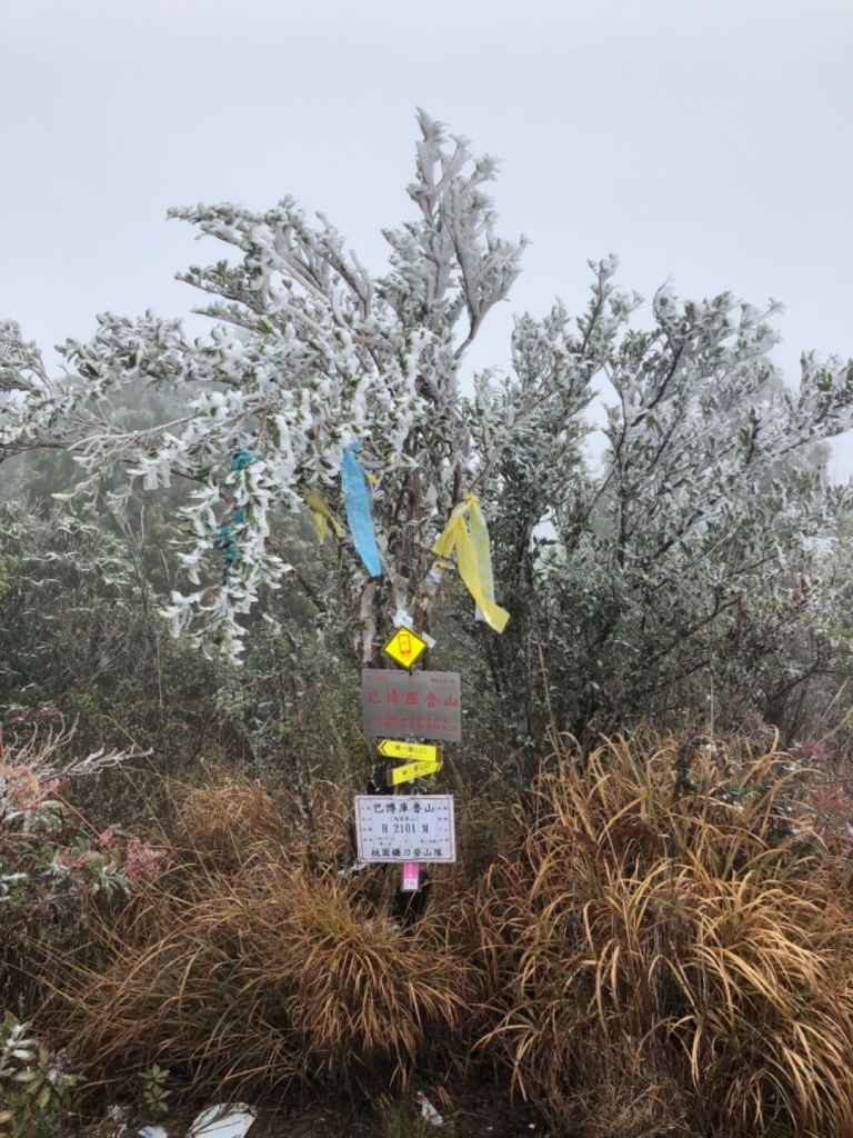 20180203冷氣團來襲登巴博庫魯山_262471