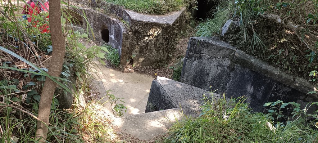 20230929_槓子寮山+砲台步道_2300839