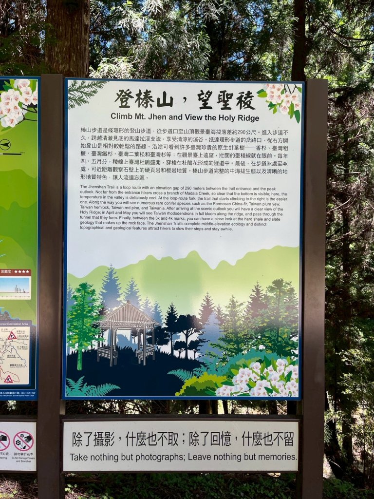 新竹 五峰 觀霧國家森林遊樂區 大鹿林道西線 榛山步道_2811379