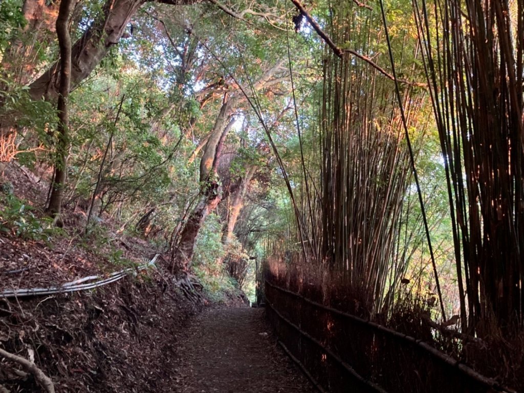 半嶺水圳-紗帽山-橫嶺古道_1481198