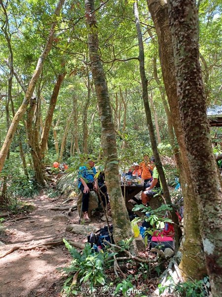 【屏東獅子鄉】海天一色。 台灣百大必訪步道~里龍山自然步道_2550790