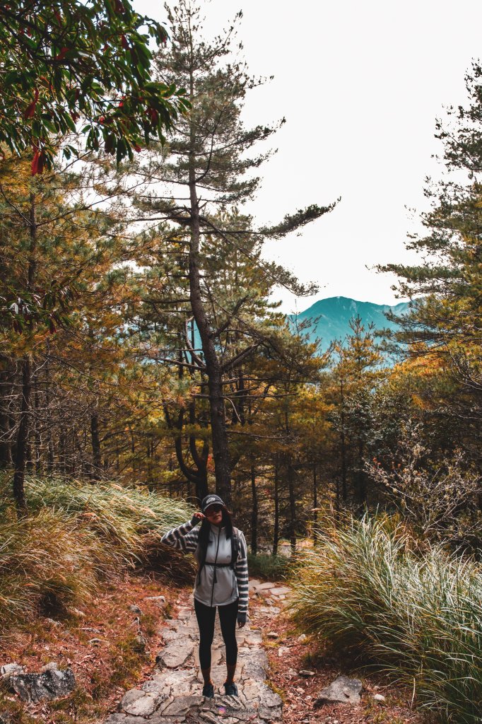 大雪山賞楓景點_2691528