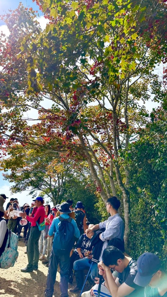 馬那邦山O走_2370069