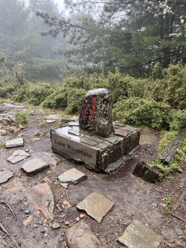 鹿林山-鹿林前山-真鹿林山-石水山-石水山基點峰 2025.5.25_2798416