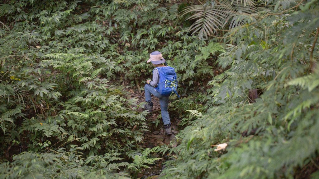 闊瀨古道-沿北勢溪谷而行的夏末之旅（淡蘭古道）_2287589