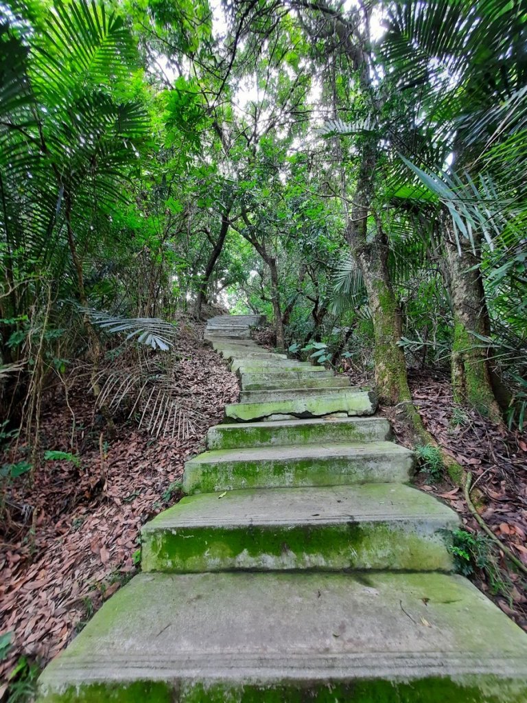 《南投》中興新村虎山步道心型200816_1068799