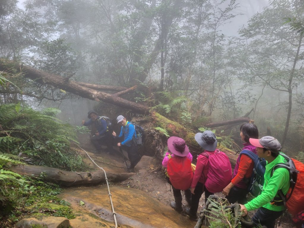 112.01.10 新竹尖石鄉-北得拉曼巨木群、內鳥嘴山_1990807