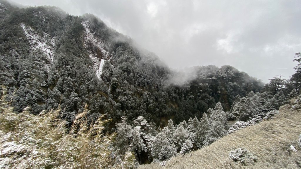 塔塔加-排雲山莊。驚喜滿分的糖霜雪景_1565794