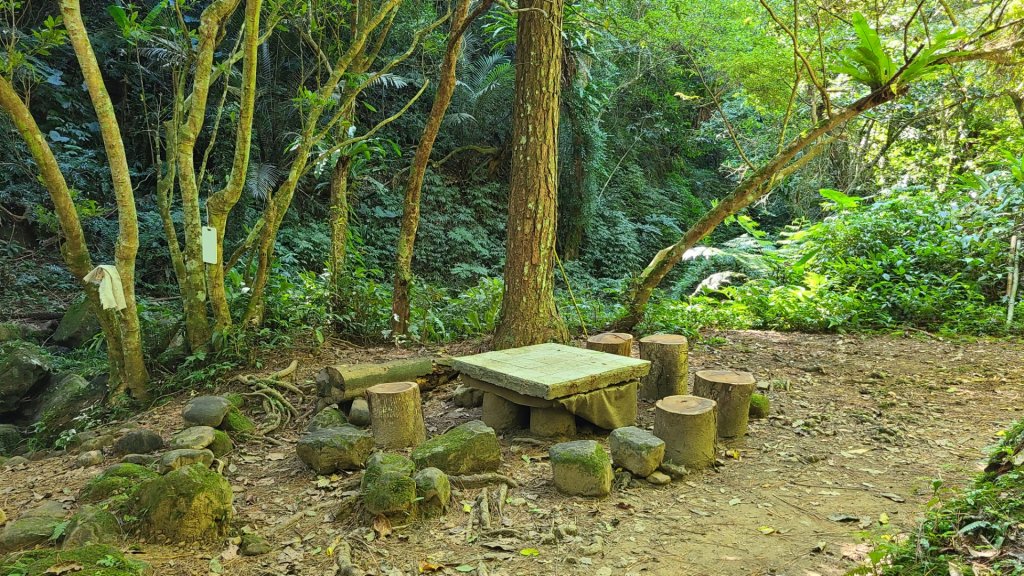 打鐵寮古道連爬白石山_1898501