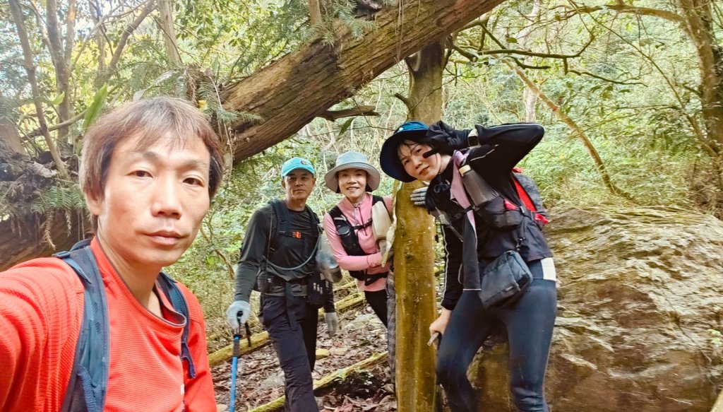 田良井山六連峰(屏東三地門) 探勘初體驗2025年3月9日_2731631