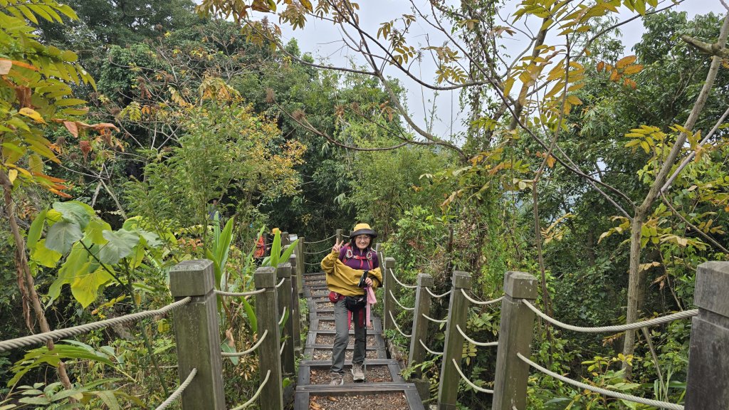 2025年元旦，熱血一日抓三座小百岳，聚興山、暗影山及阿罩霧山，在步步高昇的聚興山，祝您步步高昇。_2690137