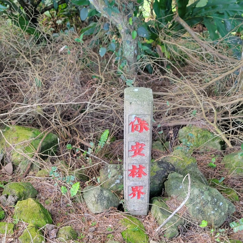馬那邦山、細道邦山（小百岳）_2435597