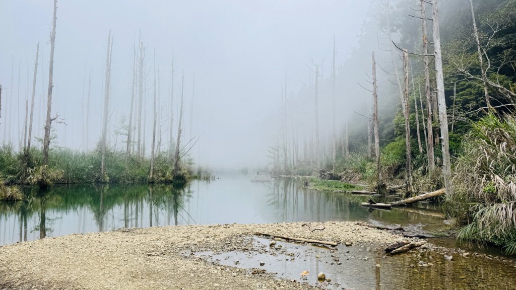 水漾森林+瞑月神木_2768800