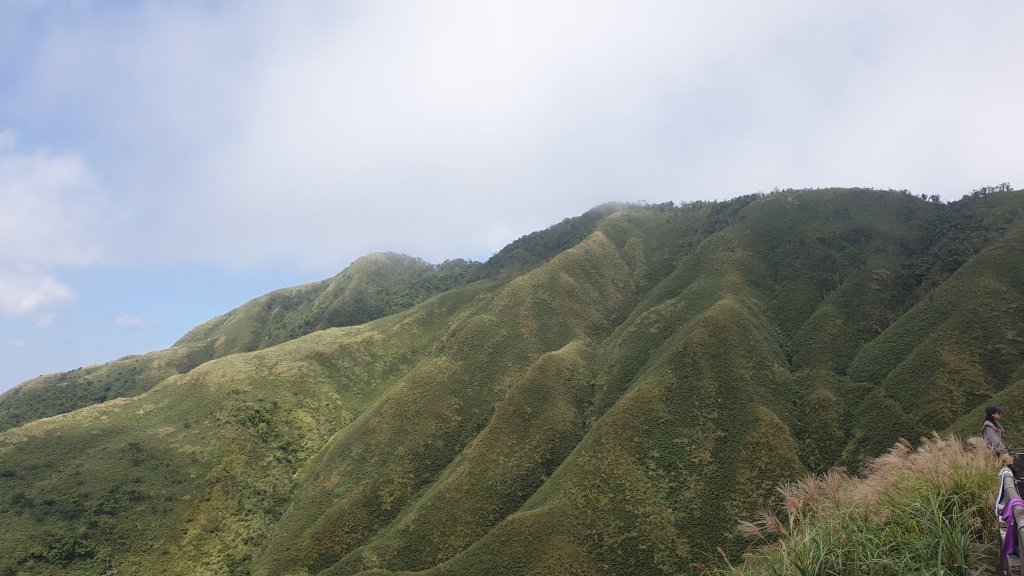 聖母登山步道（抹茶山）封面圖