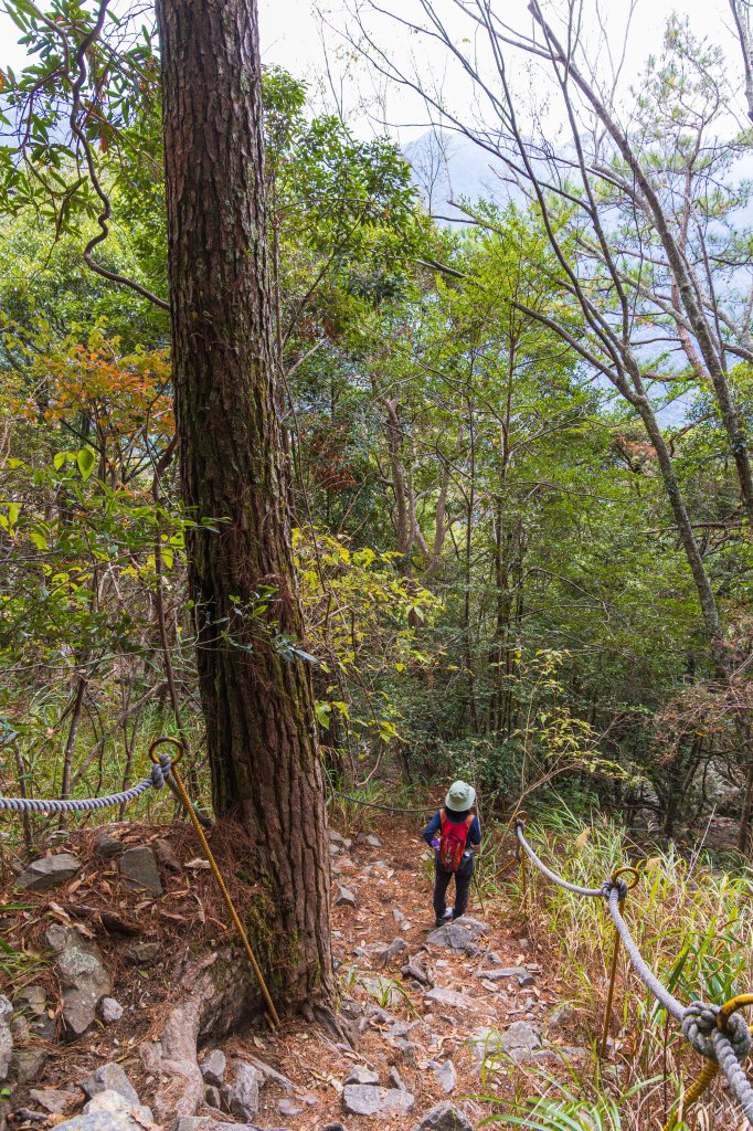 谷關七雄_波津加山_2977571