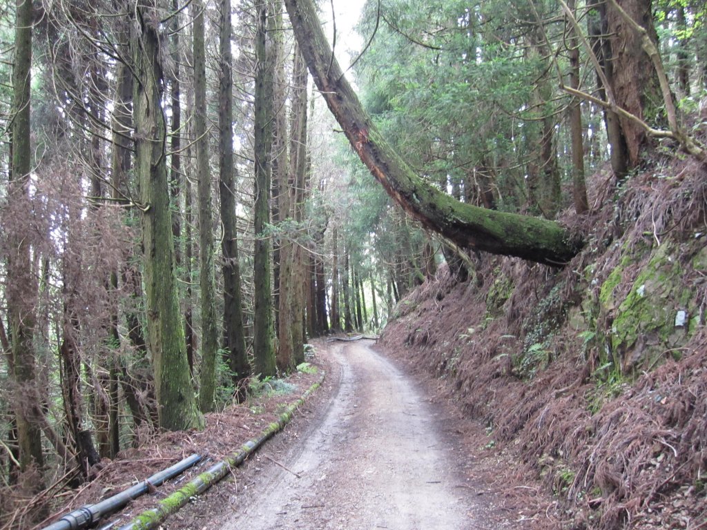 處處都是美景的合歡溪步道_1026187
