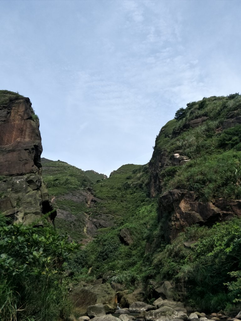 20190526劍龍、鋸齒、無耳茶壺山_593232