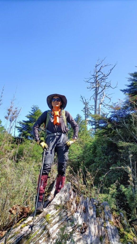 西巒大山_2611480