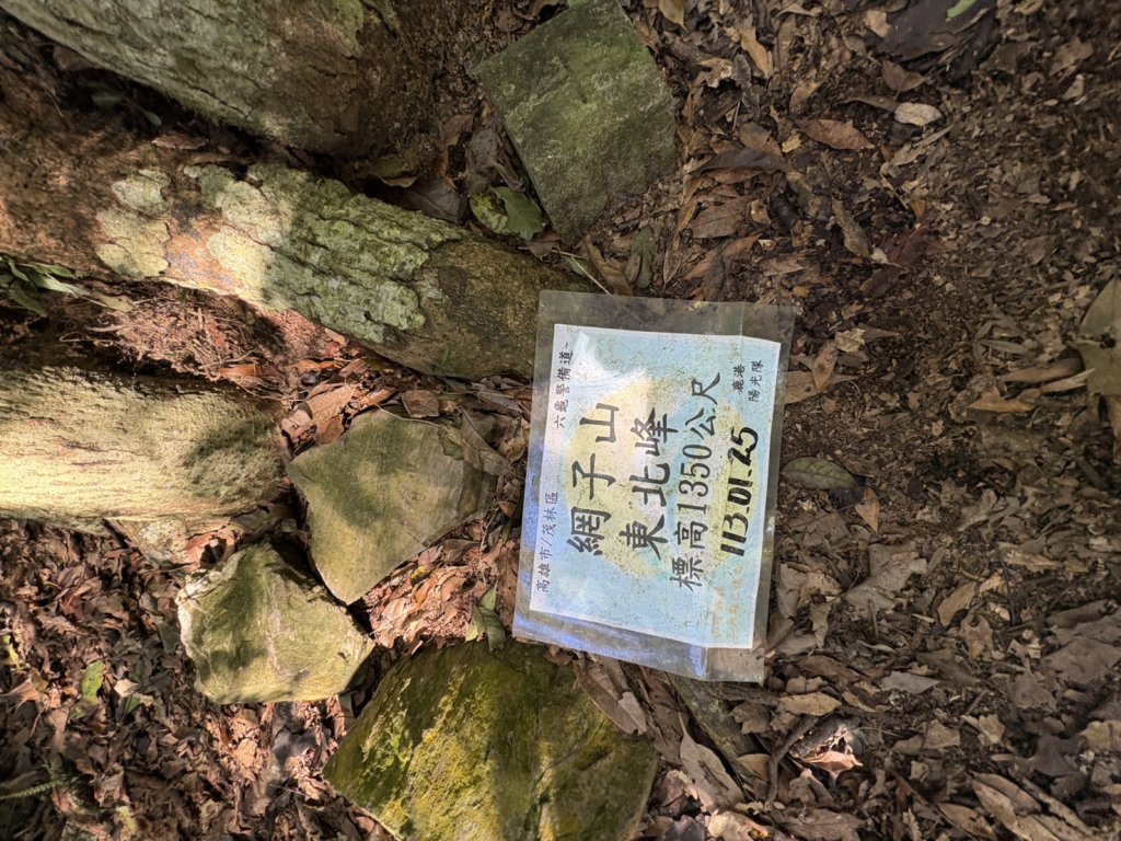 20251116鳴海山、網子山登山步道_2938401